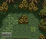 Prévia de Cursed Woods