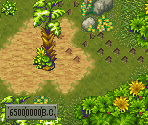 Abrir mapa: Forest Maze